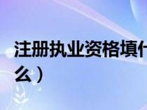 注冊(cè)執(zhí)業(yè)資格填什么內(nèi)容(注冊(cè)執(zhí)業(yè)資格填什么) 注冊(cè)執(zhí)業(yè)資格填什么內(nèi)容(注冊(cè)執(zhí)業(yè)資格填什么)