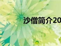 沙僧簡介20字左右（沙僧簡介）