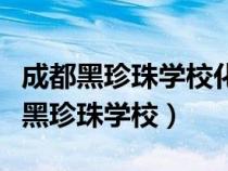 成都黑珍珠學(xué)?；瘖y出來(lái)工資大約多少（成都黑珍珠學(xué)校）