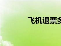 飛機退票多少錢（飛機退票）