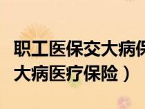 職工醫(yī)保交大病保險在哪里交（怎樣繳納職工大病醫(yī)療保險）