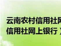 云南農(nóng)村信用社網(wǎng)上銀行app下載安裝（云南信用社網(wǎng)上銀行）