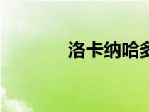 洛卡納哈多少級(jí)（洛卡納哈）