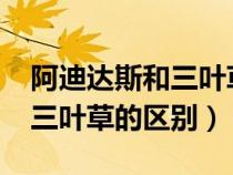 阿迪達斯和三葉草有什么區(qū)別?（阿迪達斯和三葉草的區(qū)別）