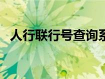 人行聯(lián)行號查詢系統(tǒng)（人行聯(lián)行號是什么）