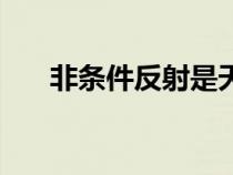 非條件反射是天生的嗎(非條件反射) 非條件反射是天生的嗎(非條件反射)