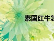泰國(guó)紅牛怎么樣（泰國(guó)紅牛）