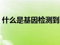 什么是基因檢測到底有什么用（什么是基因）