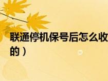 聯(lián)通停機(jī)保號(hào)后怎么收取費(fèi)用的(停機(jī)保號(hào)后怎么收取費(fèi)用的) 聯(lián)通停機(jī)保號(hào)后怎么收取費(fèi)用的(停機(jī)保號(hào)后怎么收取費(fèi)用的)