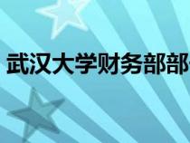 武漢大學(xué)財務(wù)部部長何蓮（武漢大學(xué)財務(wù)部）