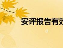 安評報告有效期幾年（安評報告）