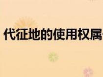 代征地的使用權(quán)屬于誰（代征地是什么意思）