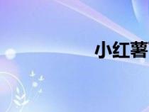 小紅薯下載（小紅薯）