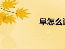 阜怎么讀?（埠怎么讀）