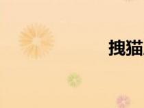 拽貓尾巴（拽貓）