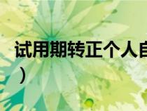 試用期轉(zhuǎn)正個(gè)人自評(píng)(試用期員工自評(píng)怎么寫) 試用期轉(zhuǎn)正個(gè)人自評(píng)(試用期員工自評(píng)怎么寫)