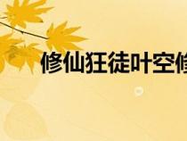 修仙狂徒葉空修為表（修真狂徒葉空）