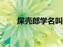 屎殼郎學(xué)名叫蜣螂蟲（屎殼郎學(xué)名）