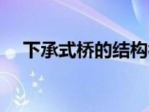 下承式橋的結(jié)構(gòu)構(gòu)造特點是（下承式橋）