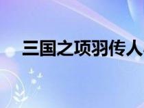 三國之項(xiàng)羽傳人小說（三國之項(xiàng)羽傳人）