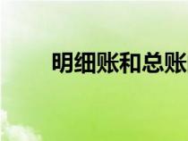 明細(xì)賬和總賬的區(qū)別圖片（明細(xì)賬）