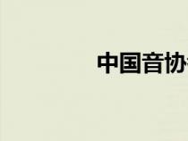 中國音協(xié)考級（中國音協(xié)）
