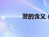翌的含義（翌年是什么意思）