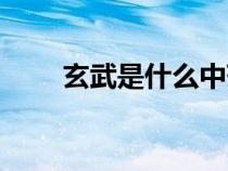 玄武是什么中藥別名（玄武是什么）