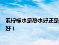 泡檸檬水是熱水好還是冷水好(泡檸檬水是用冷水還是熱水好) 泡檸檬水是熱水好還是冷水好(泡檸檬水是用冷水還是熱水好)
