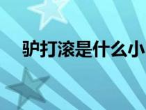 驢打滾是什么小吃（驢打滾是什么意思）