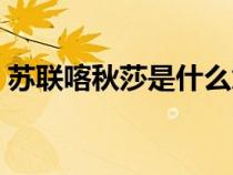 蘇聯(lián)喀秋莎是什么意思（喀秋莎是什么意思）