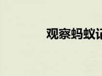 觀察螞蟻記錄表（觀察螞蟻）