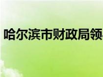 哈爾濱市財政局領(lǐng)導(dǎo)分工（哈爾濱市財政局）