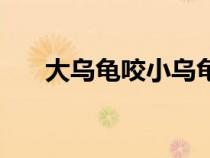 大烏龜咬小烏龜是怎么回事（大烏龜）