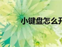 小鍵盤怎么開啟（小鍵盤怎么開）