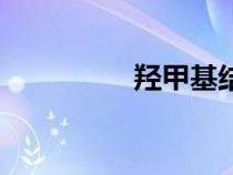 羥甲基結(jié)構(gòu)式(羥甲基) 羥甲基結(jié)構(gòu)式(羥甲基)