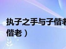 執(zhí)子之手與子偕老是什么意思（執(zhí)子之手與子偕老）