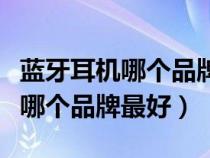藍牙耳機哪個品牌最好耐用續(xù)航長（藍牙耳機哪個品牌最好）