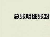 總賬明細(xì)賬封皮模板（總賬明細(xì)賬）