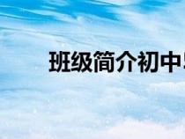 班級簡介初中50字（班級簡介初中）