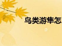 鳥類游隼怎么讀（游隼怎么讀）
