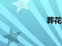 葬花鋼琴（葬花）