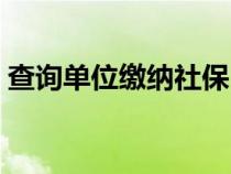 查詢單位繳納社保（查詢單位社保繳費情況）