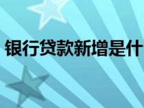 銀行貸款新增是什么意思（什么是新增貸款）