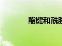 酯鍵和酰胺鍵的區(qū)別（酯鍵）