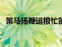 策馬揚(yáng)鞭運(yùn)糧忙笛子獨(dú)奏簡譜（策馬揚(yáng)鞭）