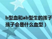 b型血和ab型生的孩子是什么血型的（b型血和ab型血生的孩子會(huì)是什么血型）
