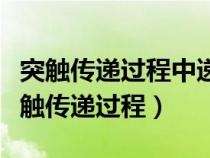 突觸傳遞過程中遞質(zhì)與突觸后膜受體結(jié)合（突觸傳遞過程）