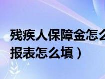 殘疾人保障金怎么填寫申報(bào)（殘疾人保障金申報(bào)表怎么填）