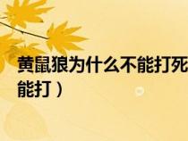 黃鼠狼為什么不能打死它能擾人的腦電波(黃鼠狼為什么不能打) 黃鼠狼為什么不能打死它能擾人的腦電波(黃鼠狼為什么不能打)